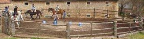 mange  chevaux