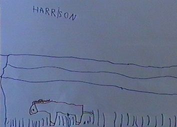 Dessin de Harrison